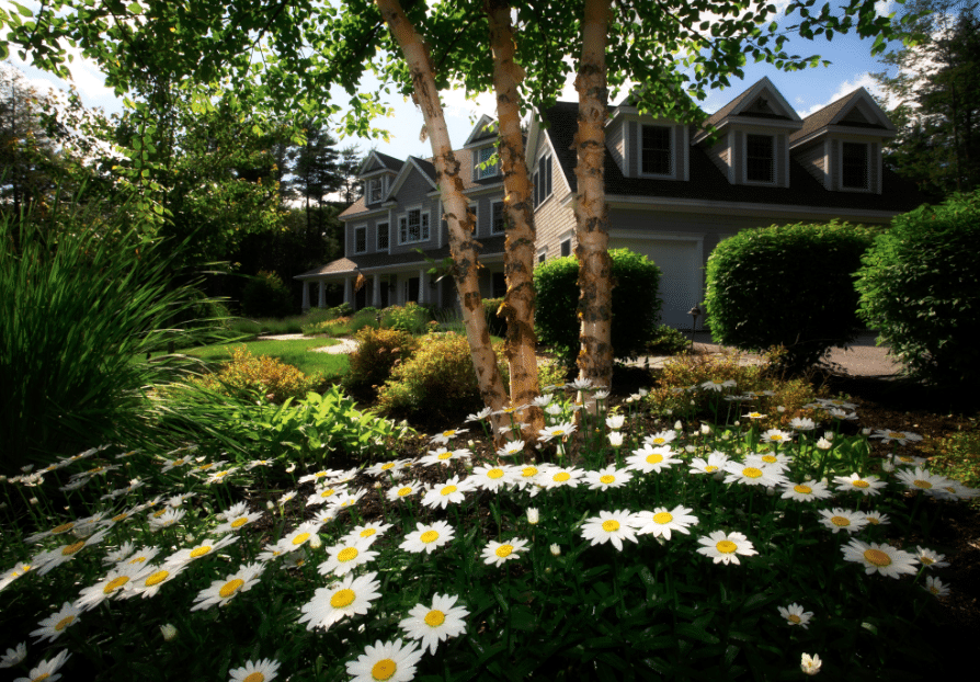 Delimiter Son Jardin