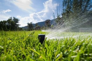 Lawn Sprinkler Spraying Water in Backyard