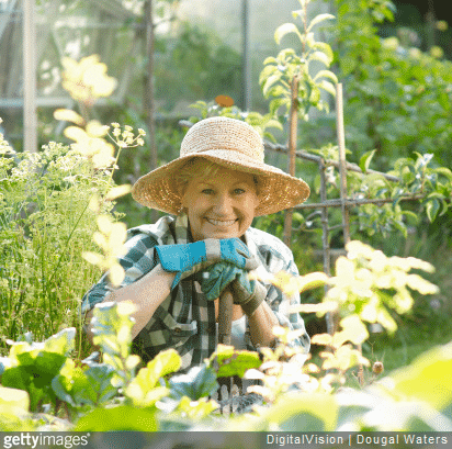 Nos conseils pour une belle récolte de légumes toute l'année sous votre serre de jardin.