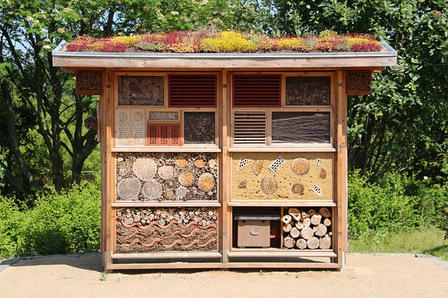 Construisez un hôtel à insectes avec vos matériaux de récup