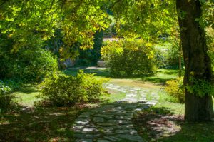 Allée de jardin principale délimitant l'espace