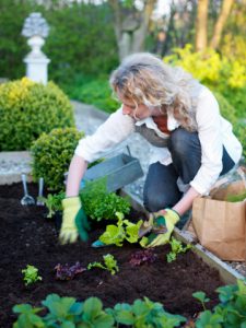 Femme en train de jardiner dans son potager