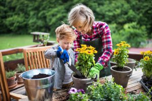 Grand-mère et son petit-fils en train de planter des fleurs jaunes dans le jardin