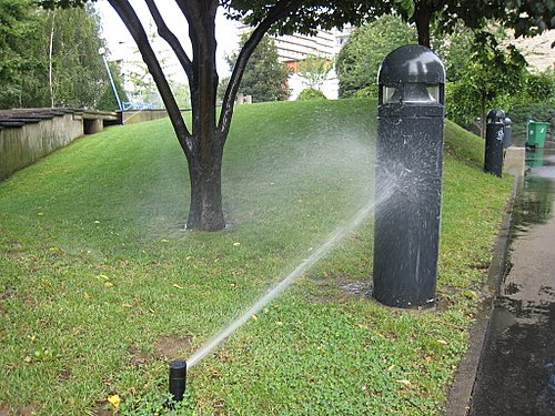 Economiser l’eau dans le jardin