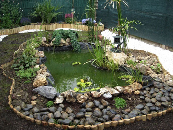 Avoir un beau jardin aquatique