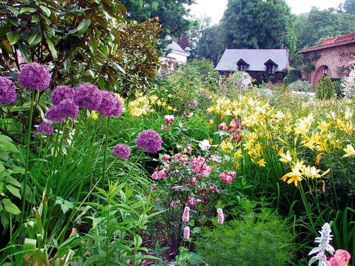 La plantation au jardin