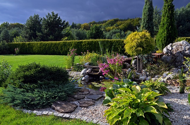 Quelles plantes pour rocaille choisir ?