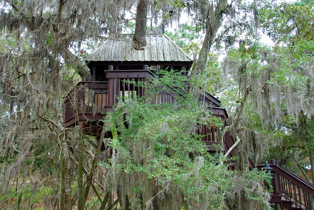 Comment entretenir une cabane dans les arbres ?