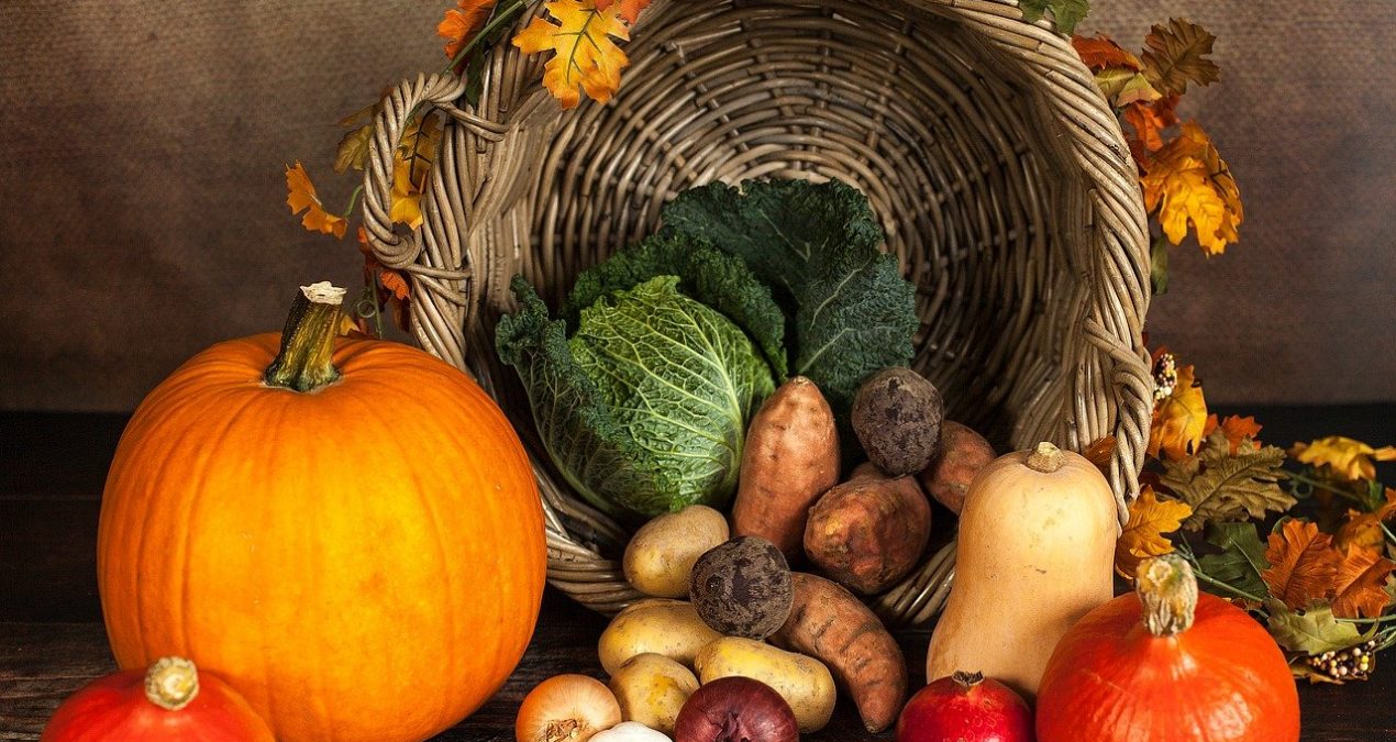 Quand planter les légumes d’hiver ?